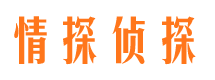 张湾市调查公司